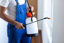 Reliable Ironton, OH Pest Control Solutions